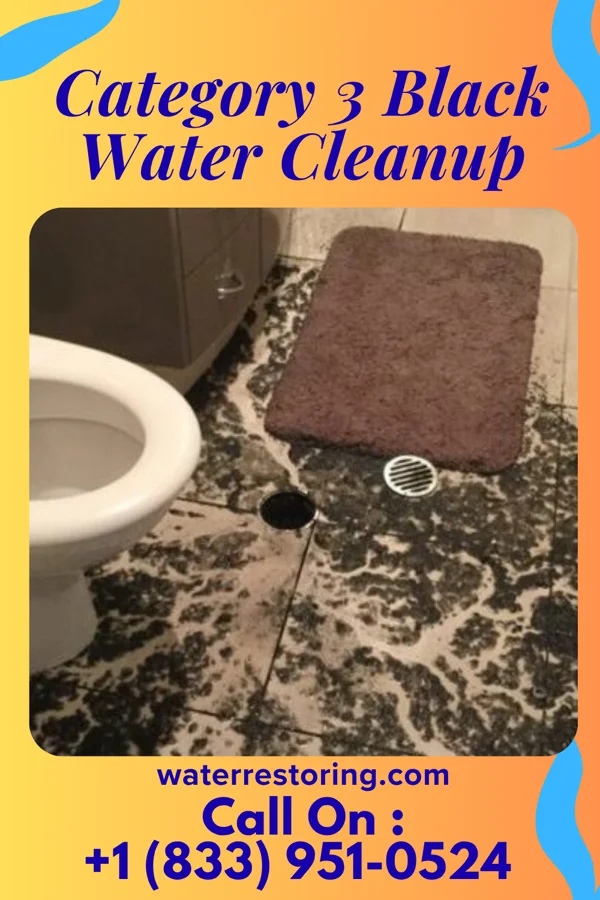 Category 3 Black Water Cleanup in Oriole Beach, FL
