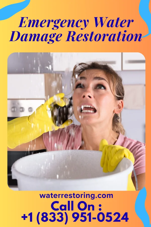 Emergency Water Damage Restoration in Oriole Beach, FL